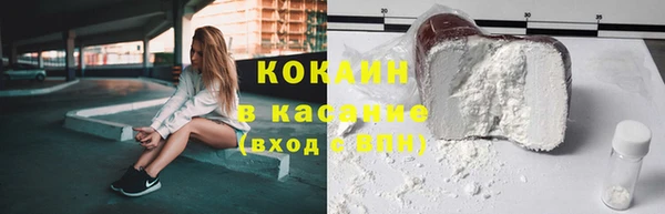 spice Богородицк